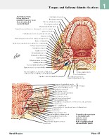 Frank H. Netter, MD - Atlas of Human Anatomy (6th ed ) 2014, page 64